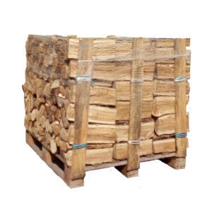 Baumstämme aus Verne oder Erle 30 cm